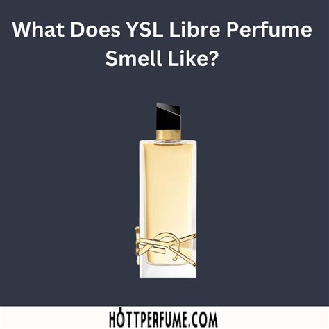 does YSL really work reddit